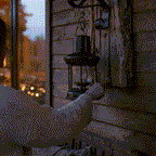 Guiding Light™ Vintage Wall Sconce