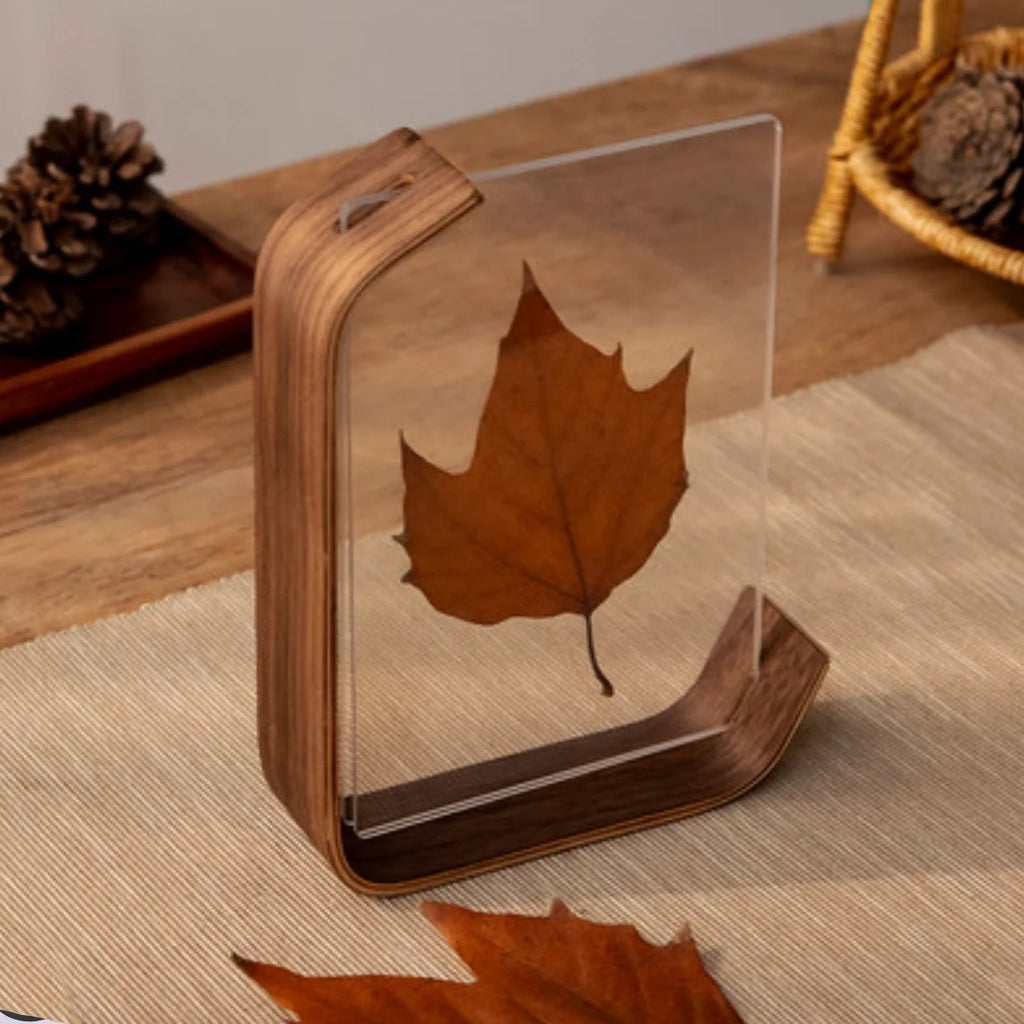 Timeless Wood Display